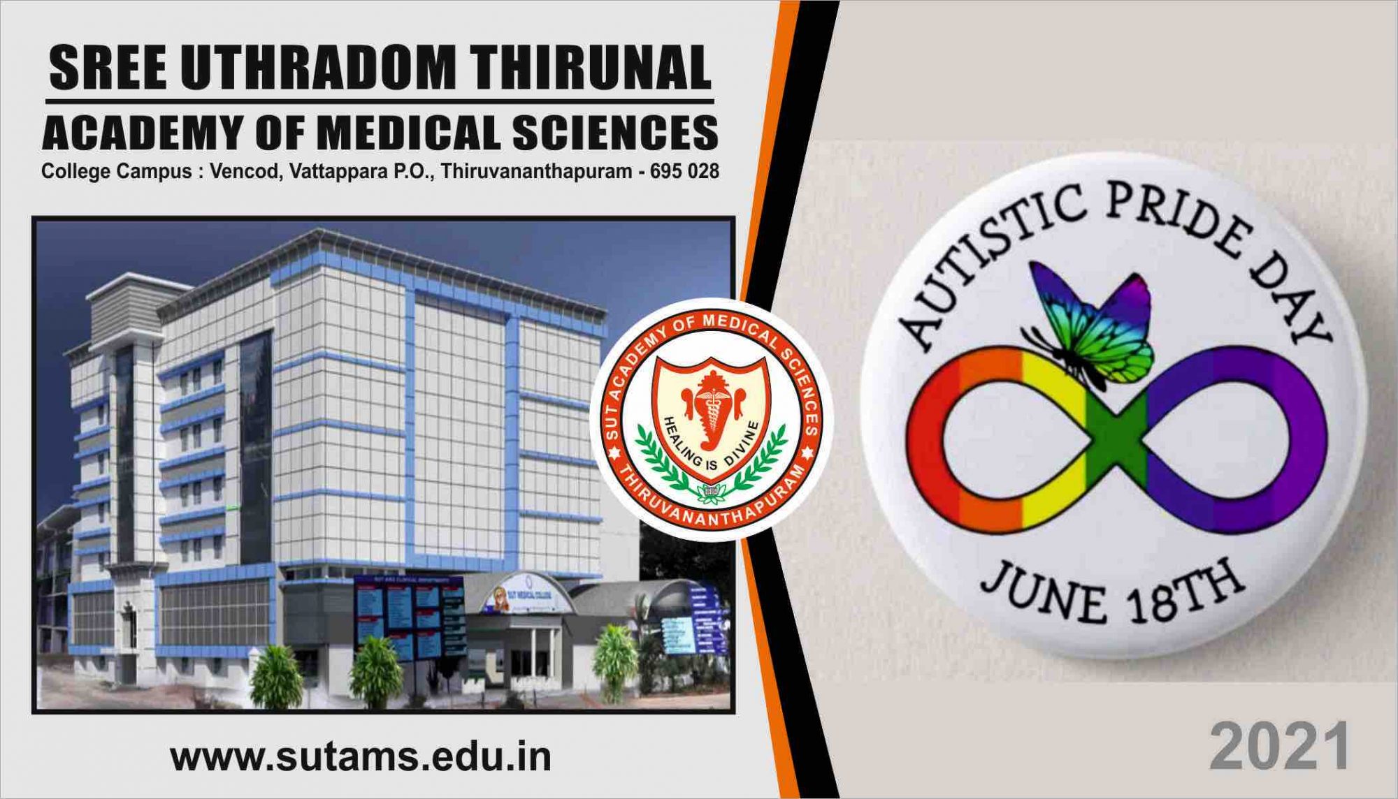 International Picnic Day