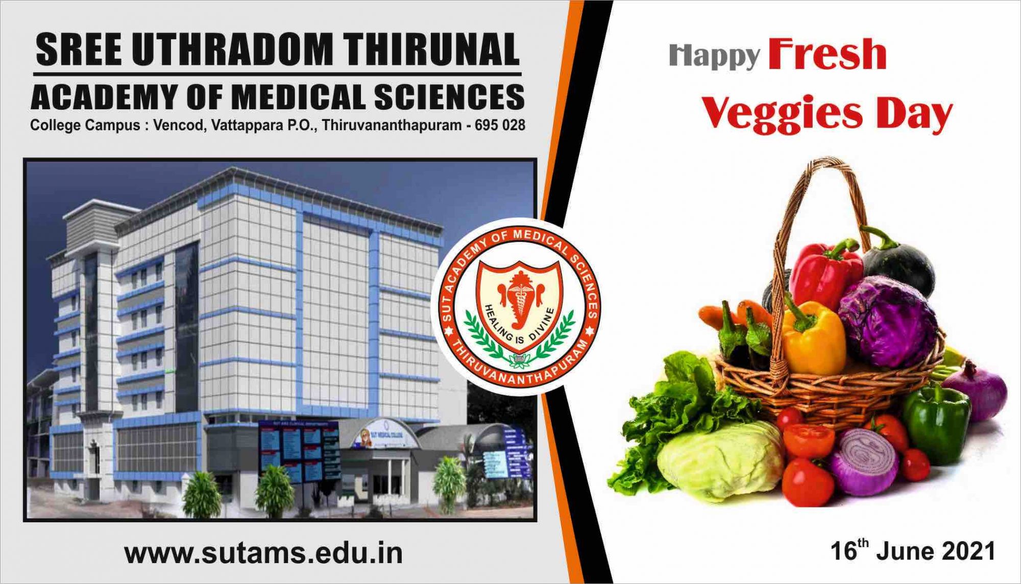 Fresh Veggies Day 2021