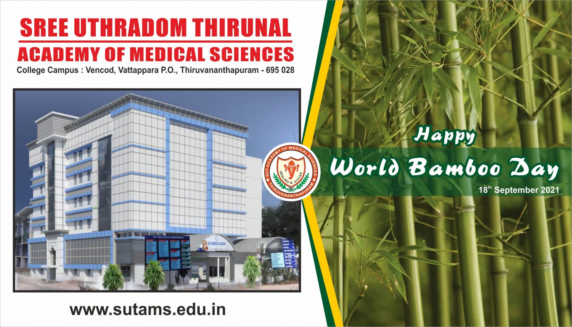 World Bamboo Day – 2021