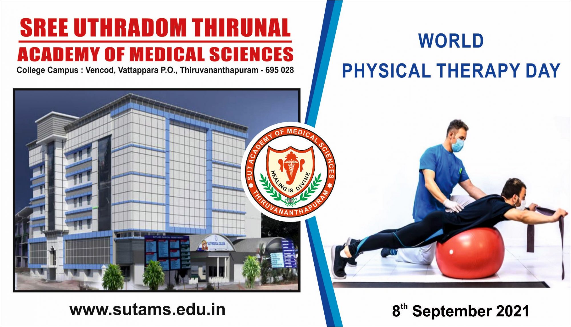 World Physical Therapy Day