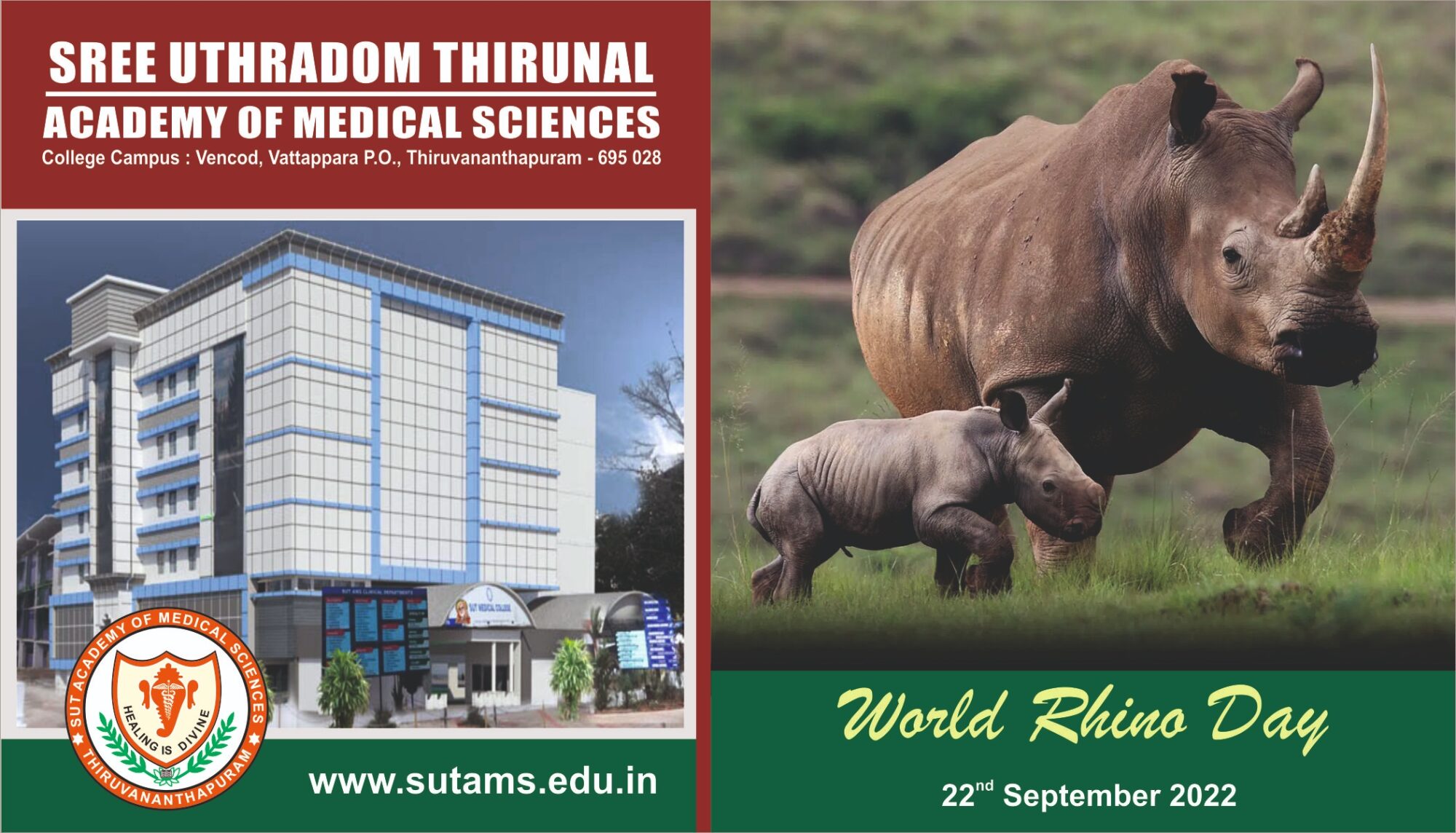 World Rhino Day 2022